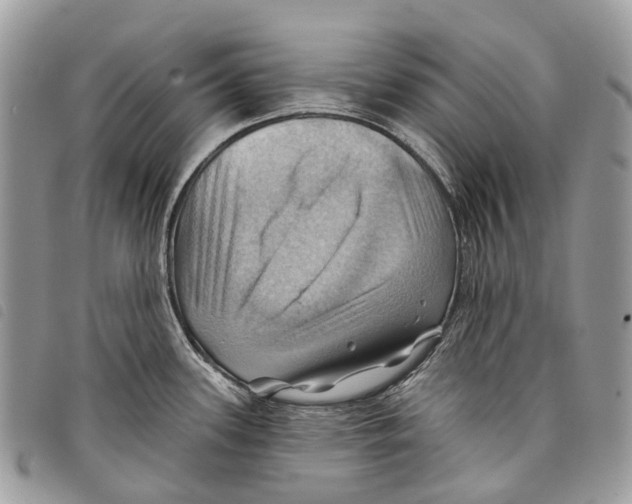 X0000097831339200804111030