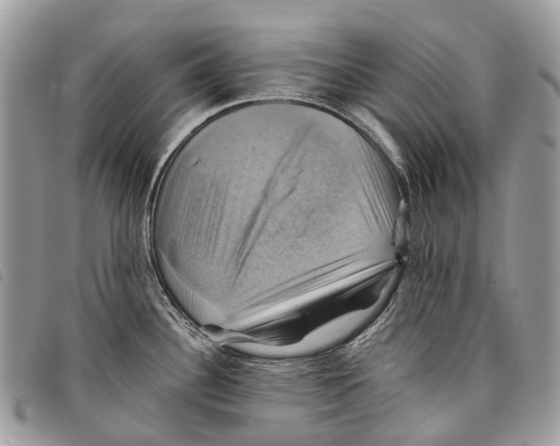 X0000097831340200804111030