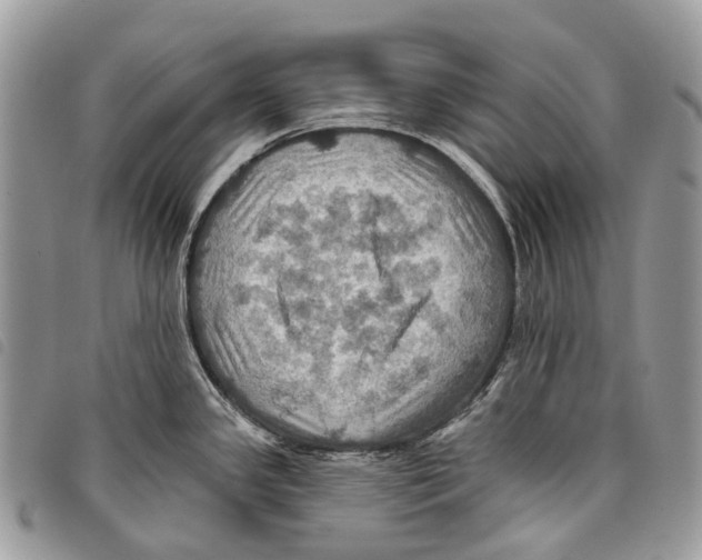 X0000097831341200804111030