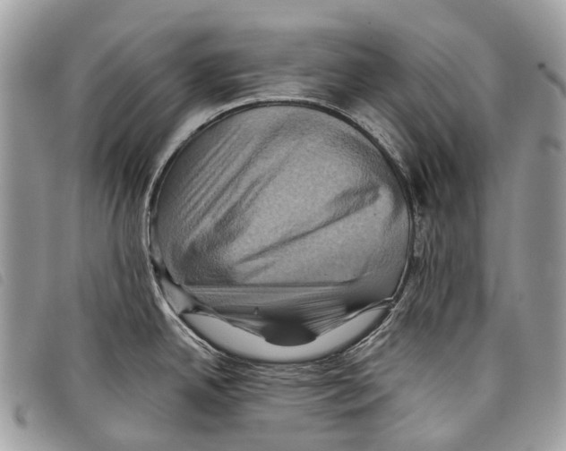 X0000097831342200804111030