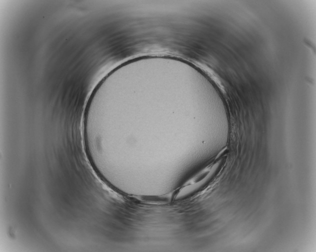 X0000097831343200804111030