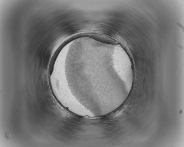 X0000097831344200804111030