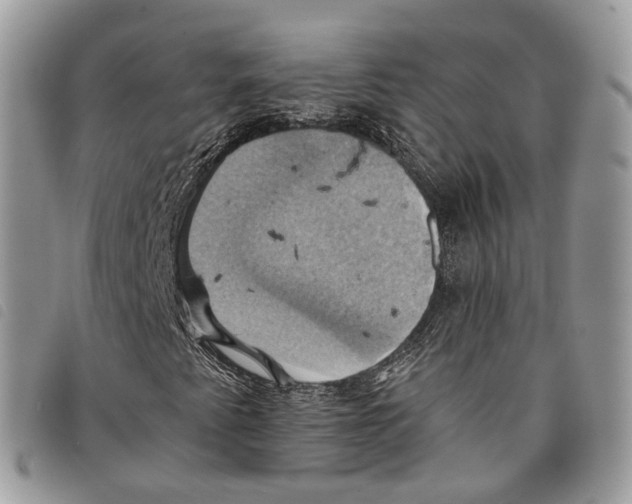 X0000097831345200804111029