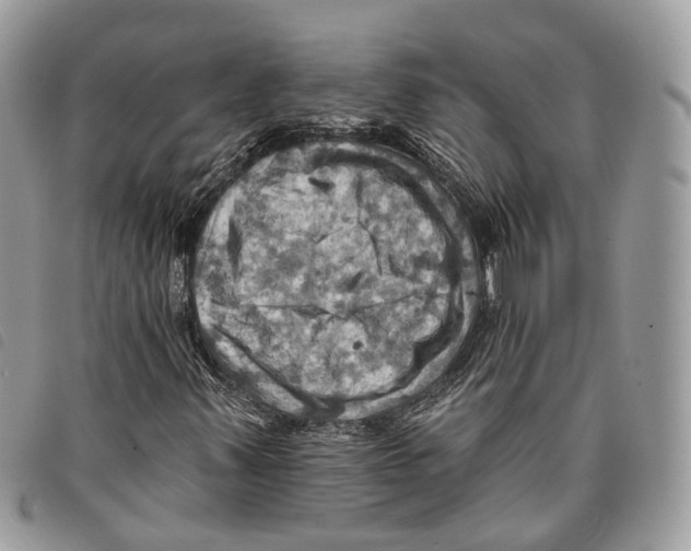 X0000097831347200804111029