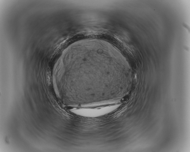 X0000097831348200804111029