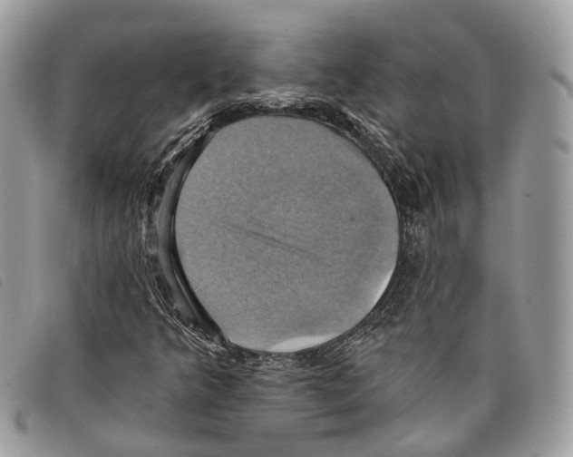 X0000097831349200804111029