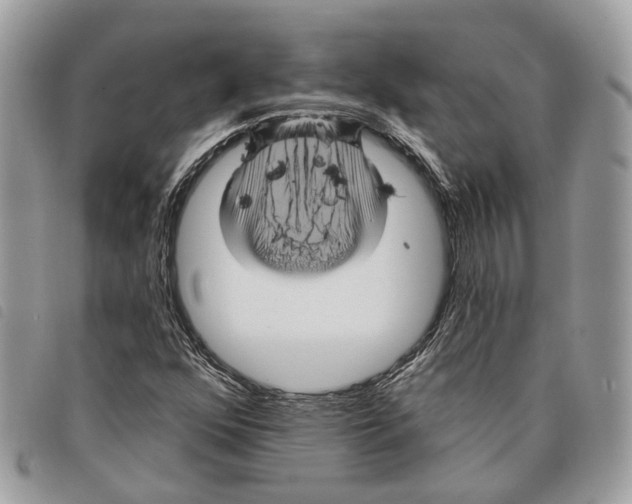 X0000097831352200804111029