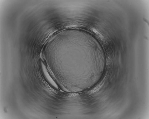 X0000097831353200804111029