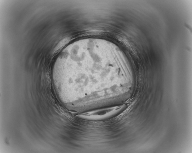 X0000097831354200804111029