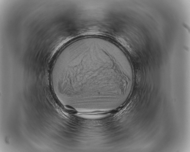 X0000097831356200804111029