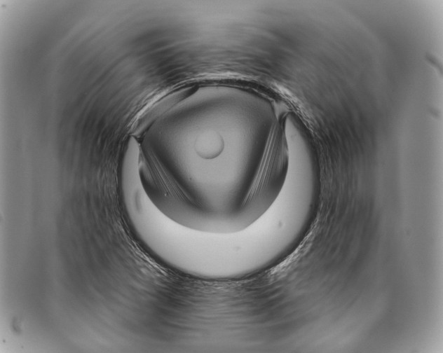 X0000097831361200804111029