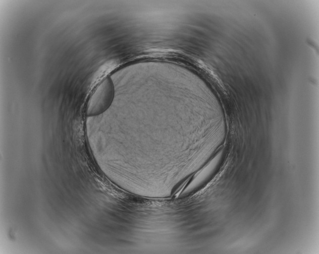 X0000097831362200804111029