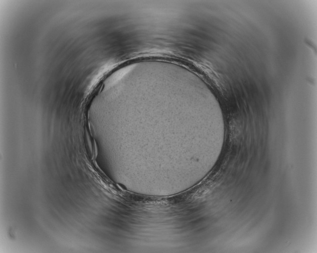 X0000097831363200804111029