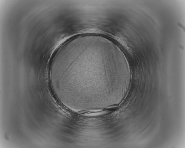 X0000097831364200804111029