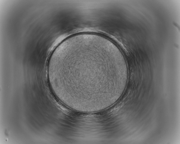 X0000097831367200804111029