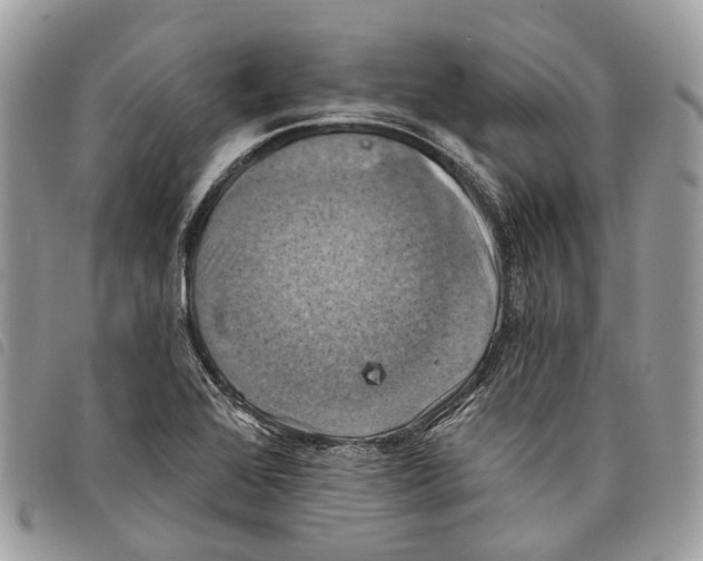 X0000097831368200804111029