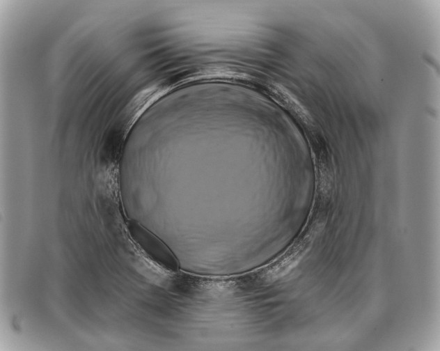 X0000097831369200804111029