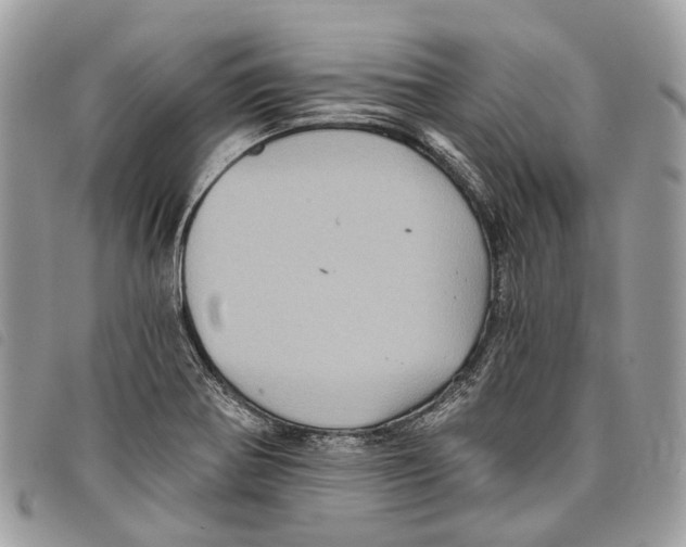 X0000097831370200804111029