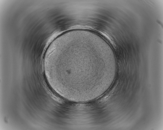 X0000097831371200804111029