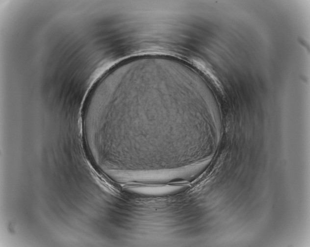 X0000097831372200804111029