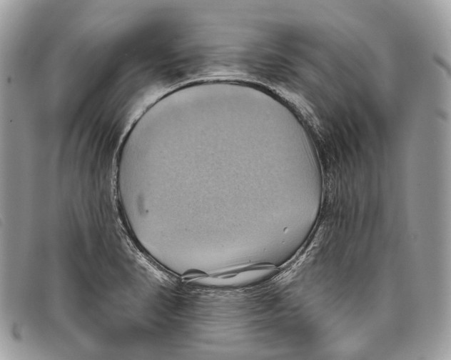 X0000097831374200804111029