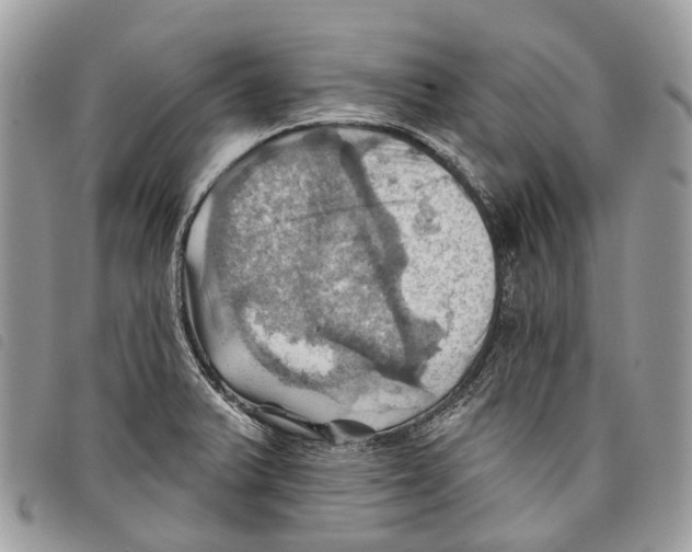 X0000097831375200804111029