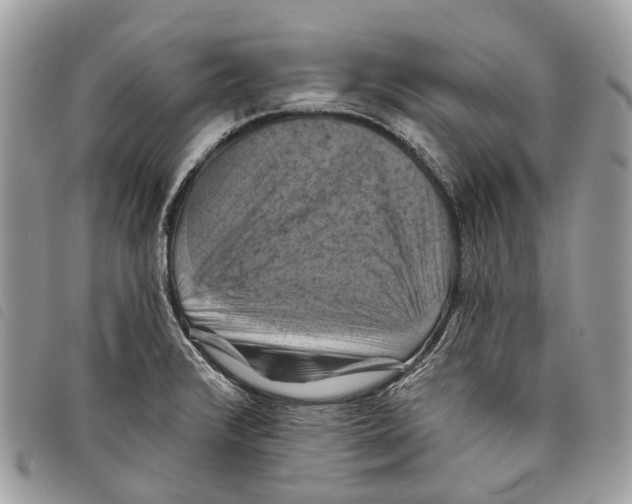 X0000097831376200804111029