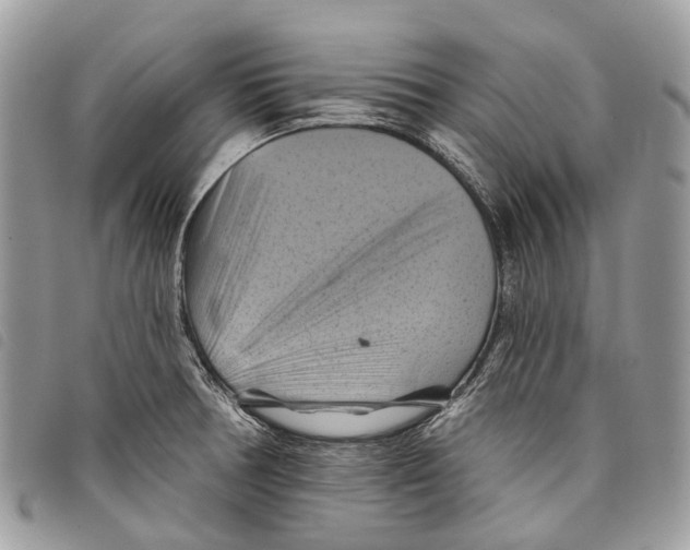 X0000097831378200804111029