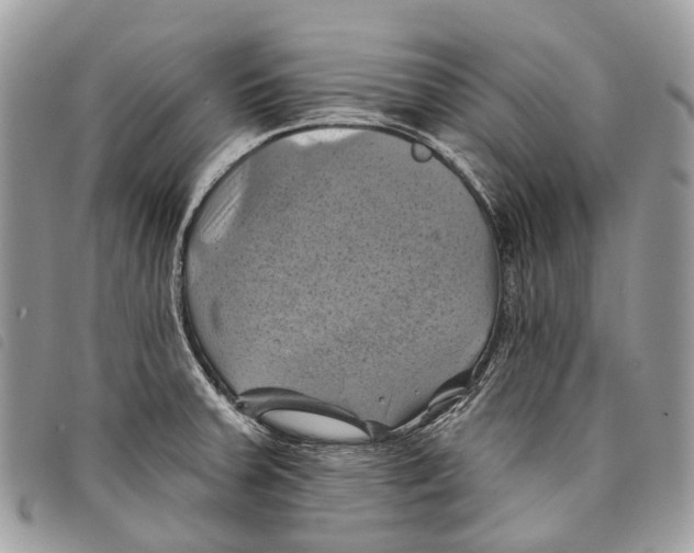 X0000097831379200804111029