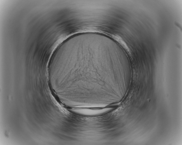 X0000097831380200804111029