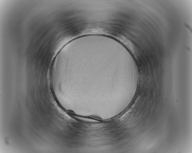 X0000097831382200804111029