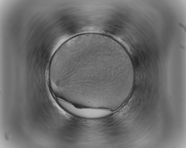 X0000097831383200804111028