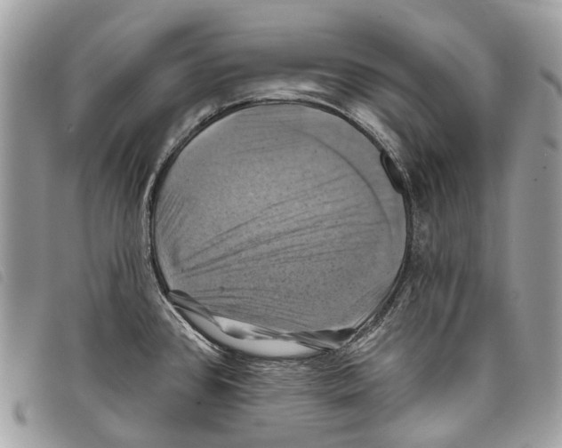 X0000097831384200804111028