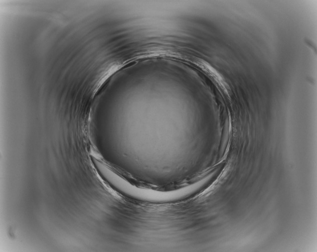 X0000097831385200804111028