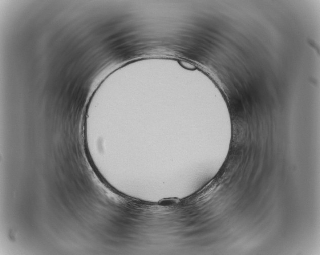 X0000097831387200804111028