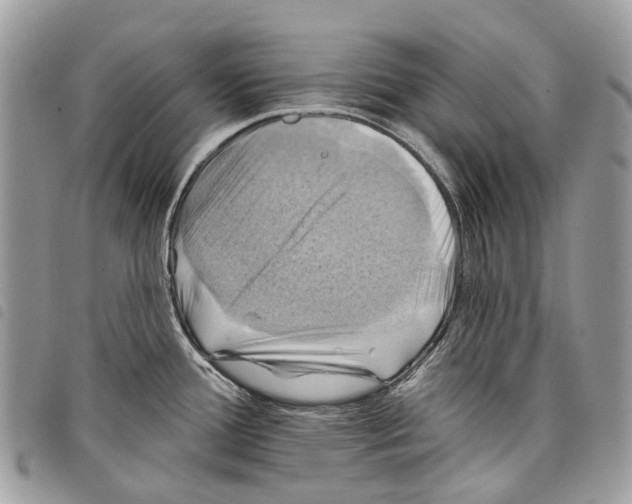 X0000097831388200804111028