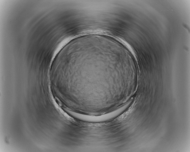 X0000097831389200804111028