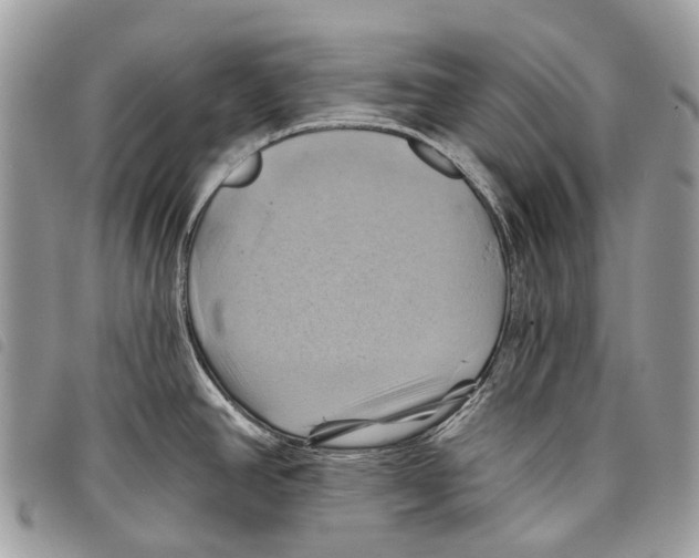 X0000097831390200804111028