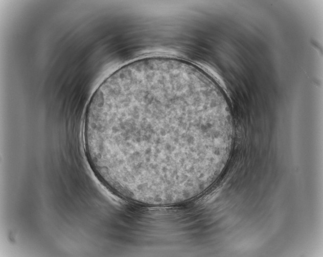 X0000097831391200804111028