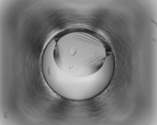 X0000097831392200804111028