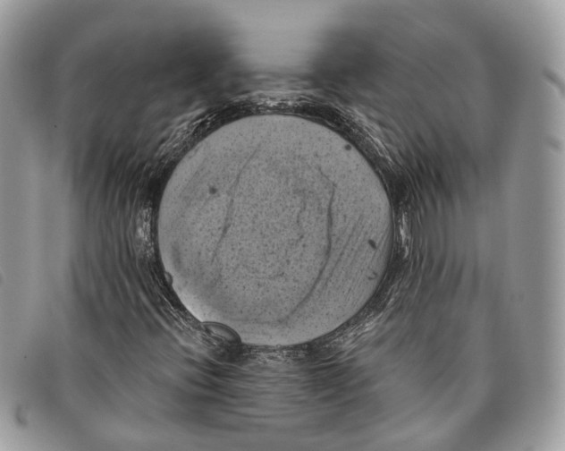 X0000097831396200804111028