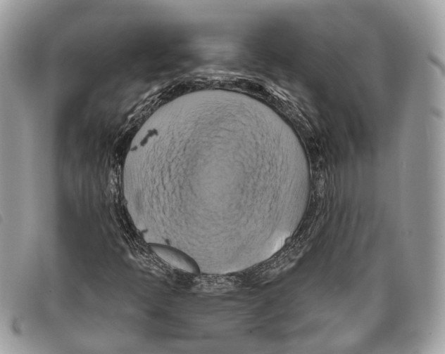 X0000097831397200804111028