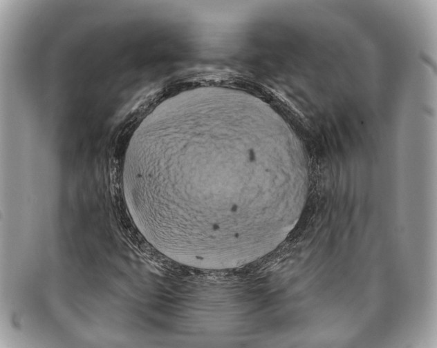 X0000097831399200804111028