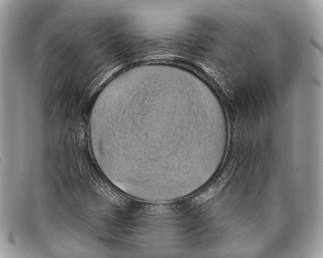 X0000097831401200804111028