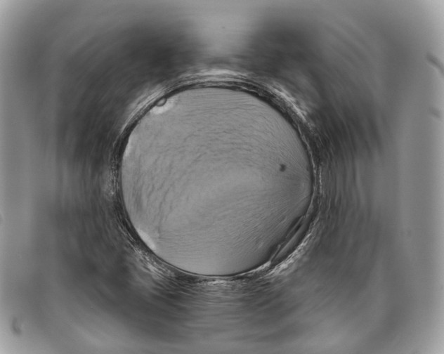 X0000097831405200804111028