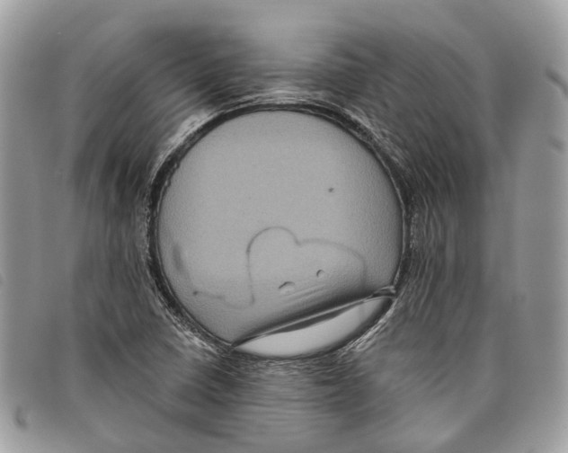 X0000097831410200804111028