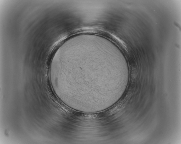 X0000097831411200804111028