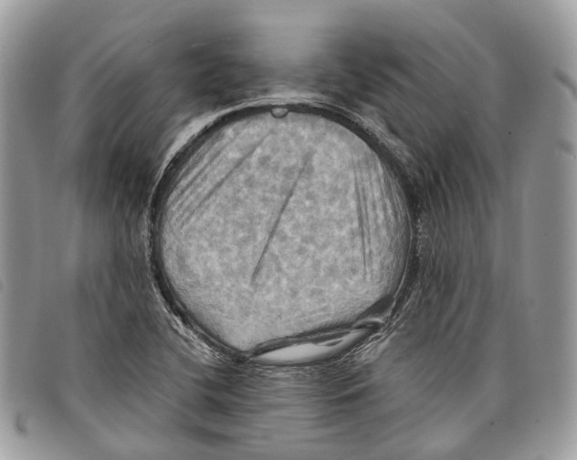 X0000097831412200804111028