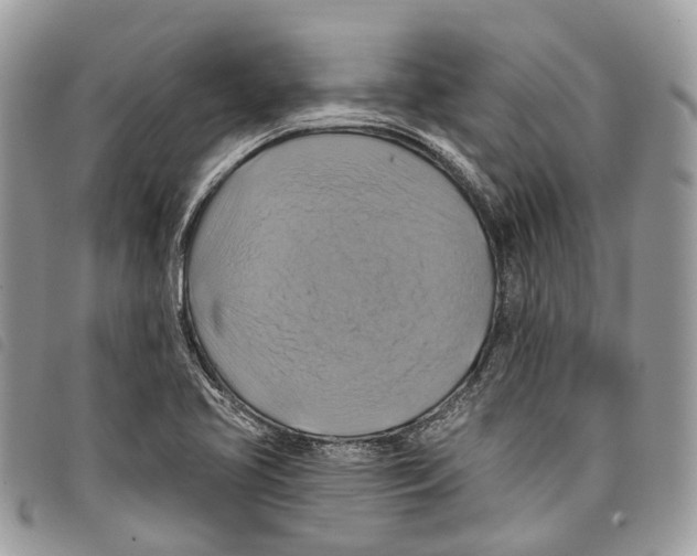 X0000097831413200804111028