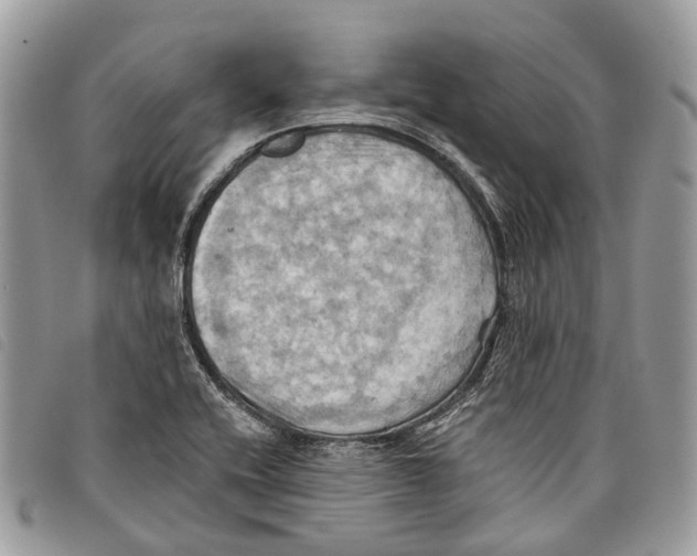 X0000097831416200804111028